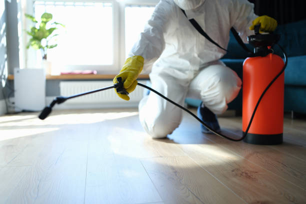 Reliable Hoarding Cleanup contractor in Georgetown, GA by Trauma Clean Pros
